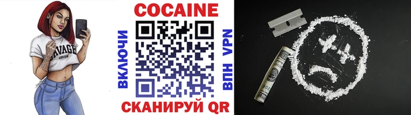 Купить закладки  Опочка  COCAIN 99% 