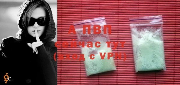 гидра Михайловка