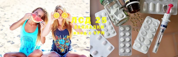 гашик Михайловск