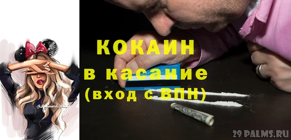 гидра Михайловка
