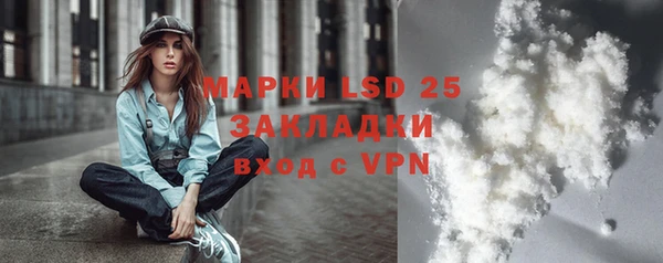 гидра Михайловка