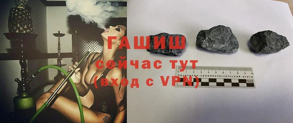 гидра Михайловка