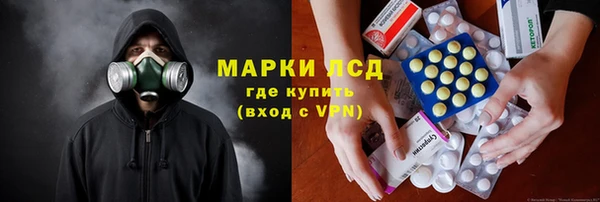 гашик Михайловск