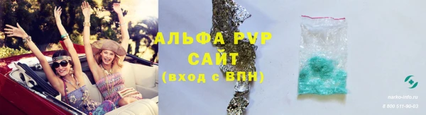 гидра Михайловка