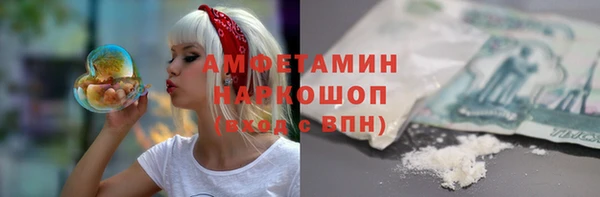 гидра Михайловка