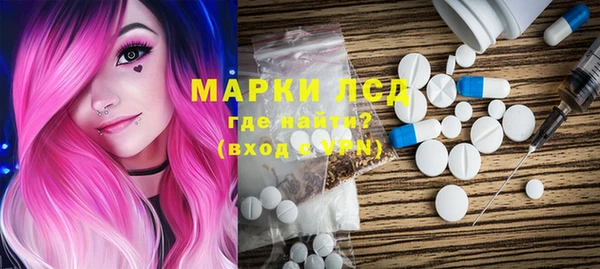 гидра Михайловка