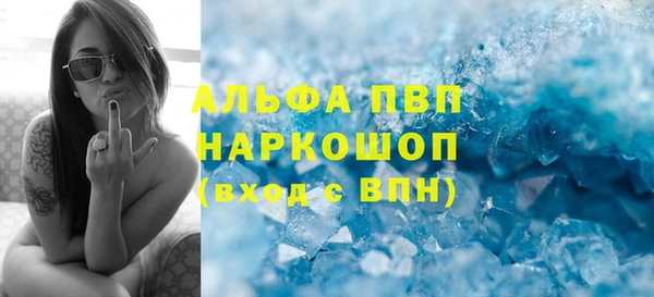 гидра Михайловка
