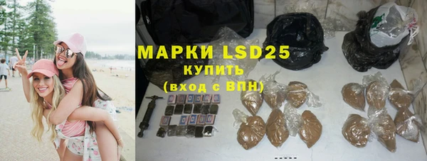 гашик Михайловск