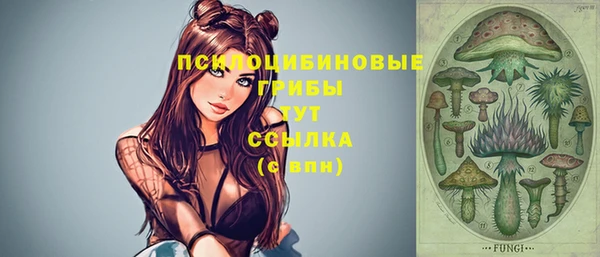 гашик Михайловск